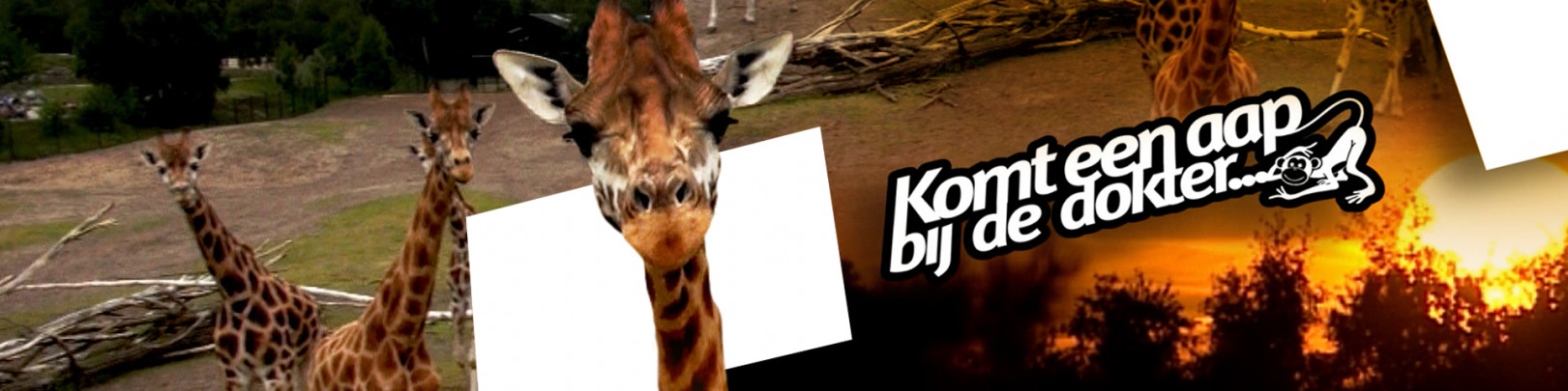 Seizoen 2