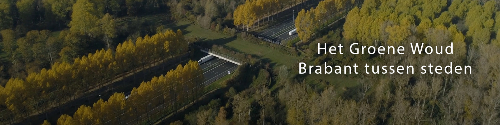 Het Groene Woud - Brabant tussen steden