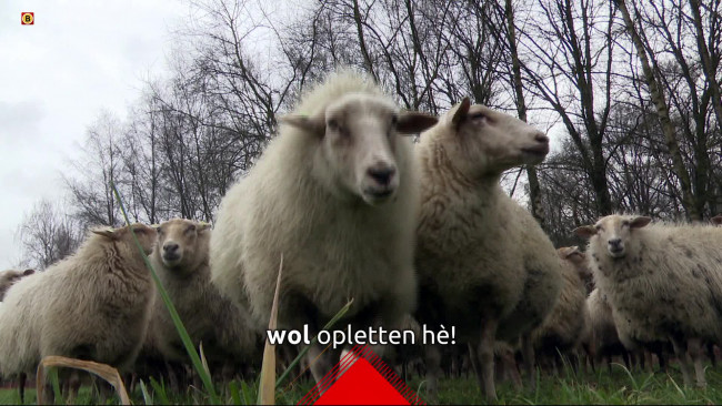 Brabant Vandaag - 9 februari 2023