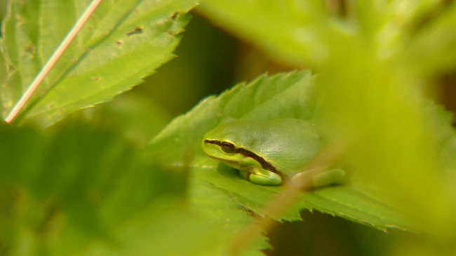 Natuurrijk