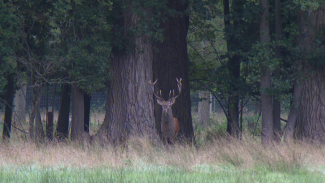 Natuurrijk