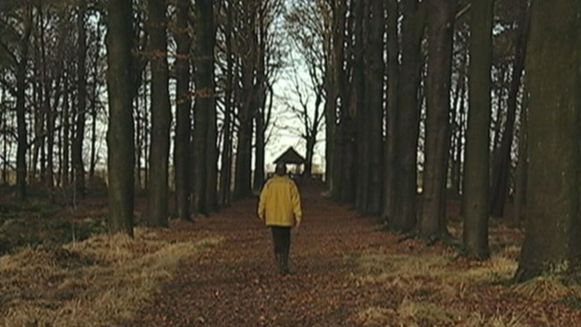 De Wandeling