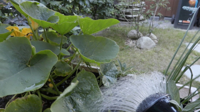 Droogte in Brabant
