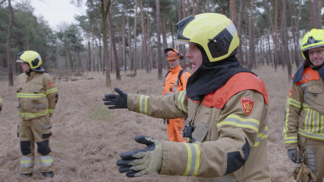 Bosbrand in Brabant