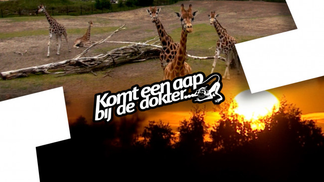 Komt een AAP bij de dokter 