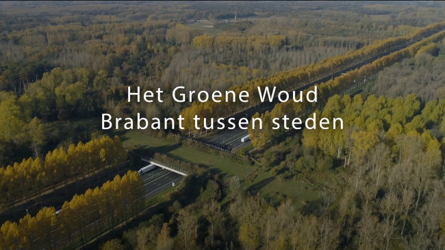 Het Groene Woud - Brabant tussen steden