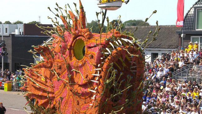 Corso Zundert Hoogtepunten