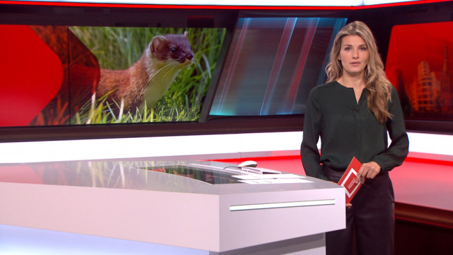 Brabant Nieuws - 7 juni 2025