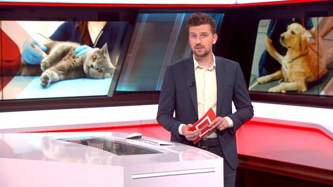 Brabant Nieuws - 10 juni 2025 