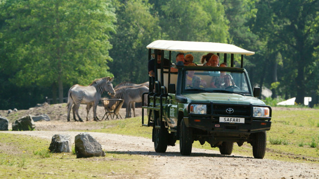 Op Safari - Aflevering 8
