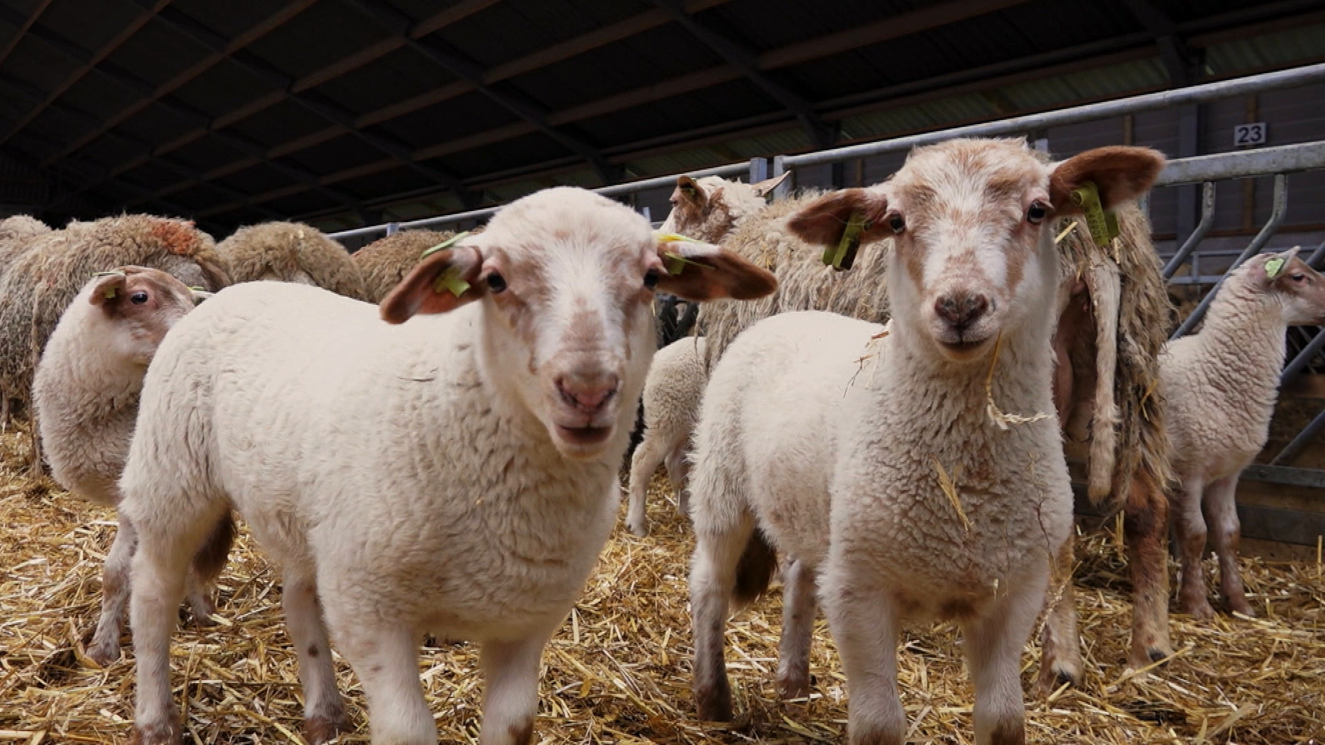 Zinderend Zuiden - 6 maart 2023