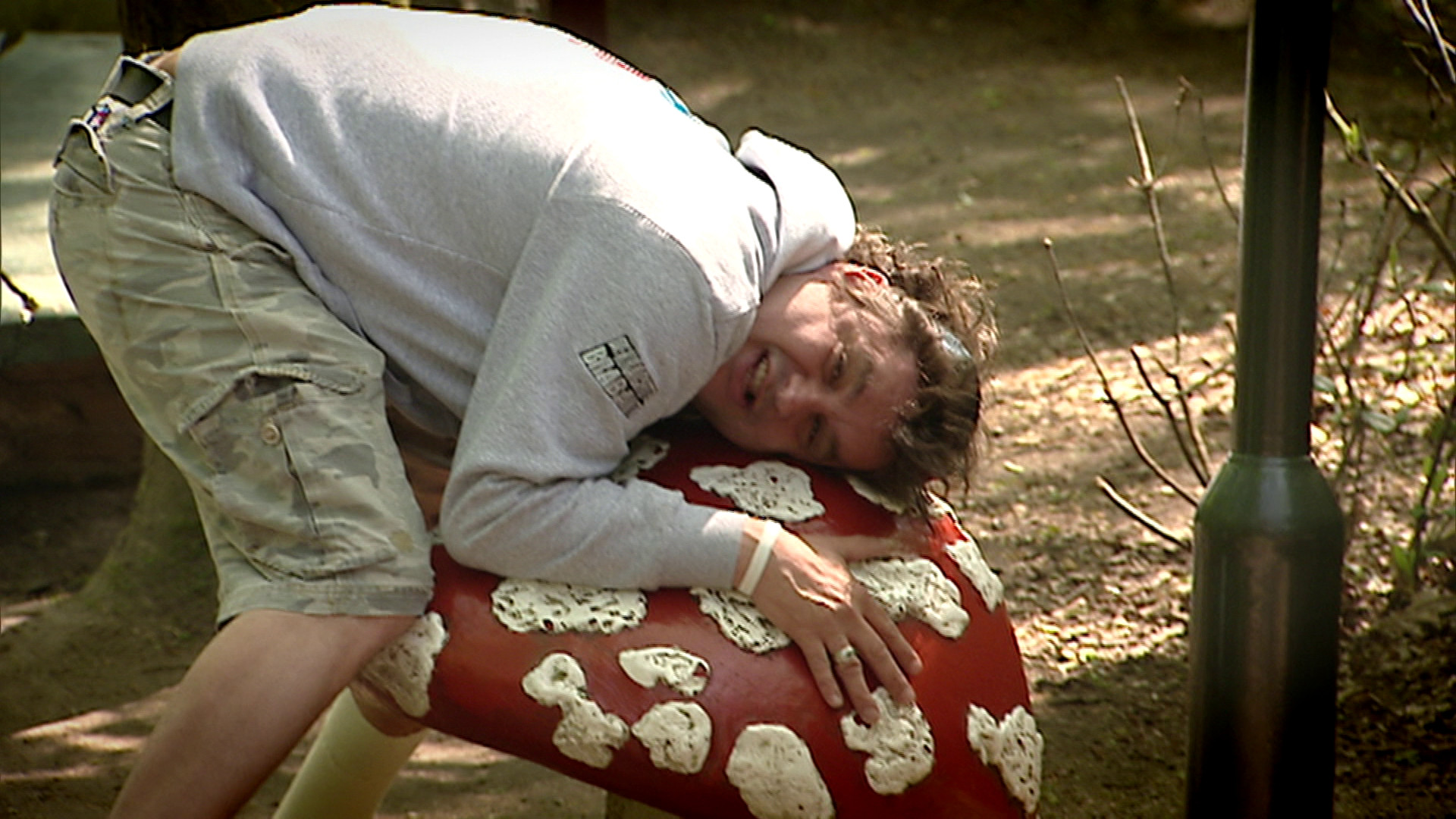 De Kracht van Brabant