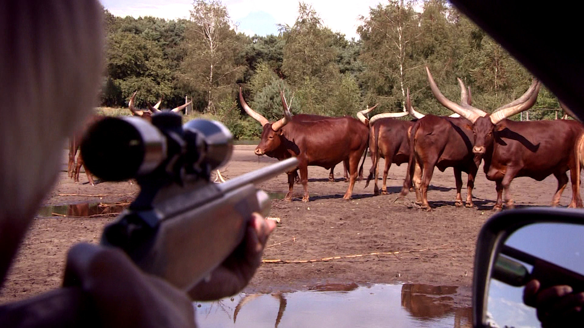 Komt een AAP bij de dokter