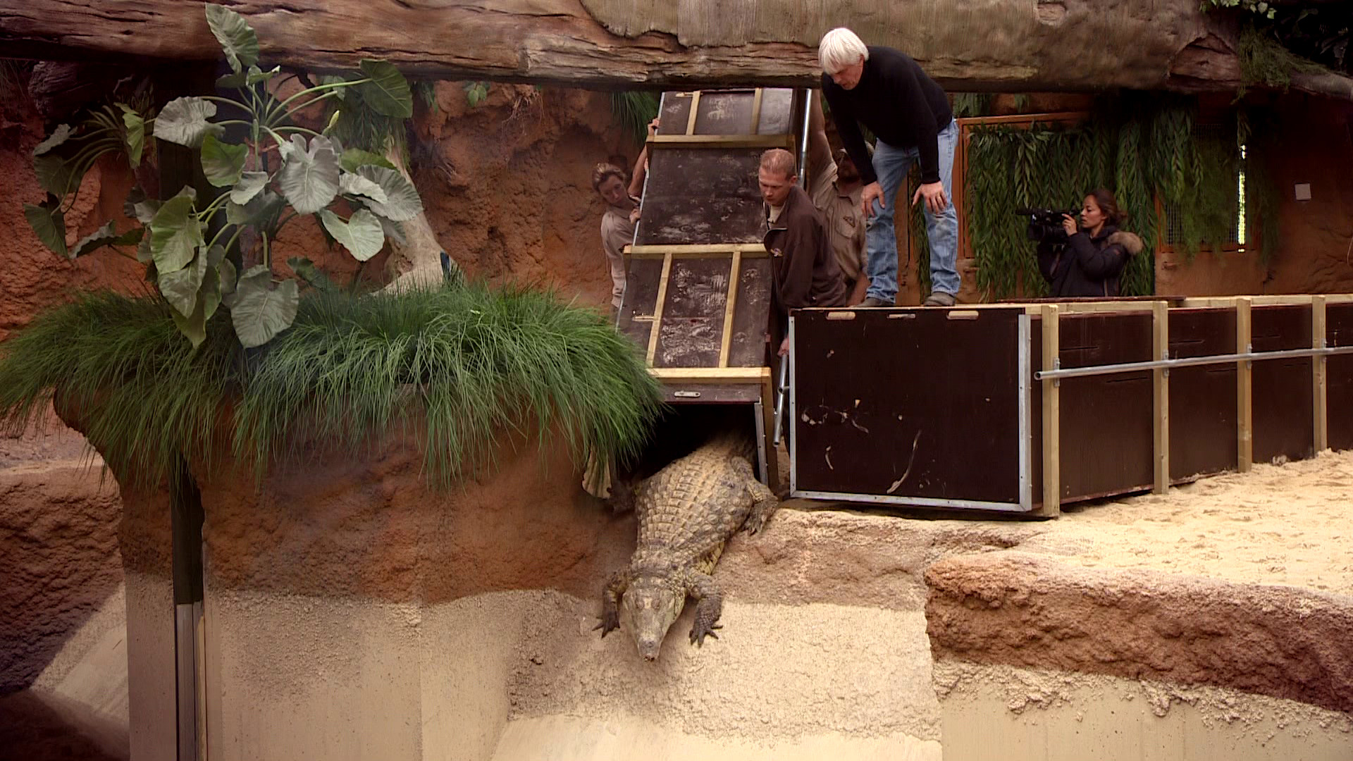 Komt een AAP bij de dokter