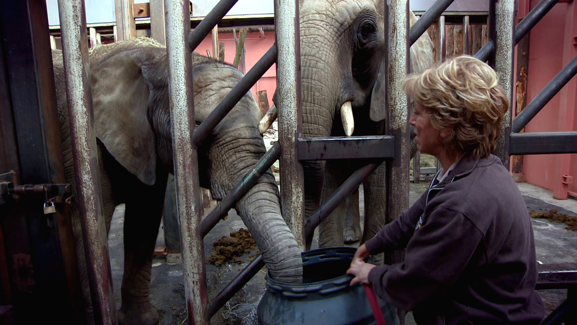 Komt een AAP bij de dokter