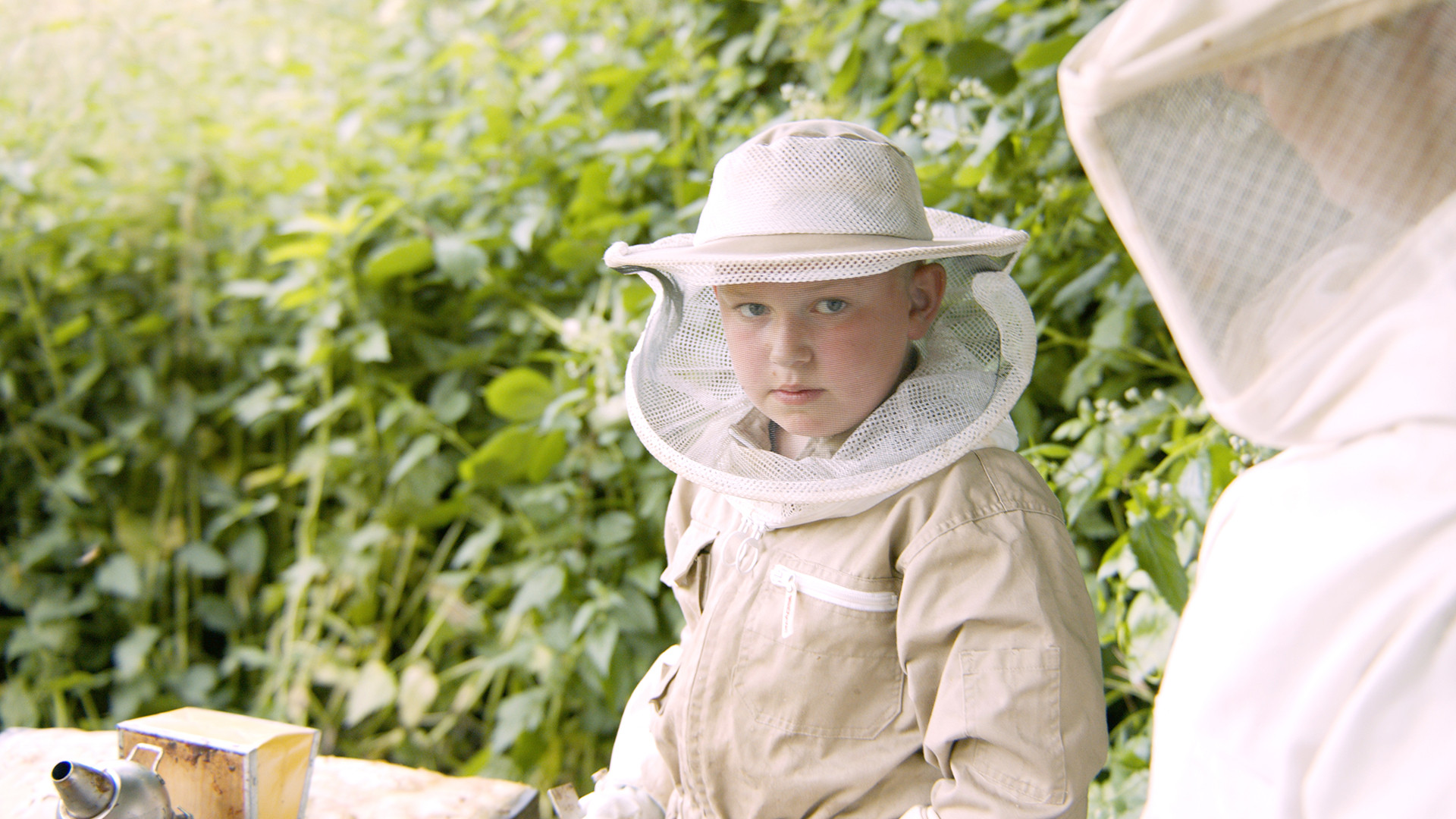 Langs de Hollandse Waterlinies