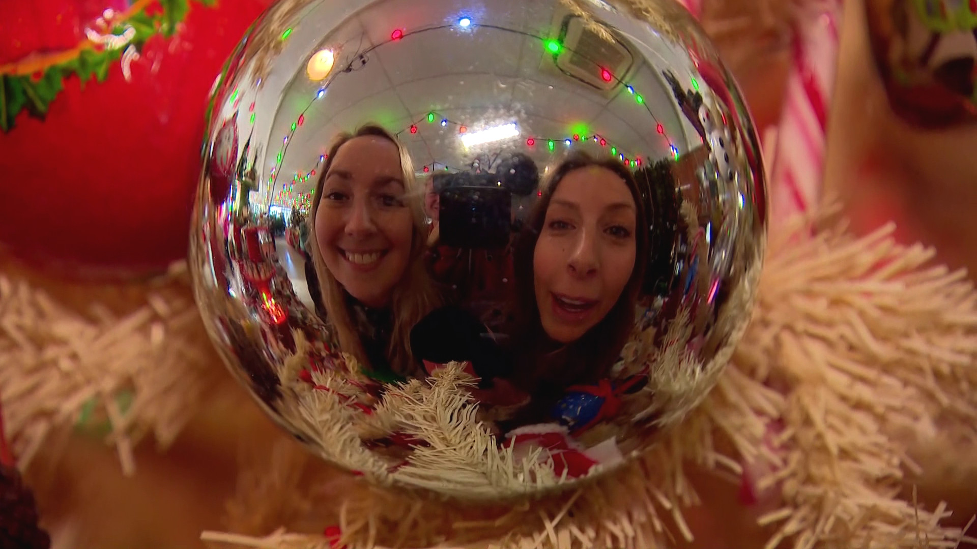 Brabants Buske - 5 november 2022