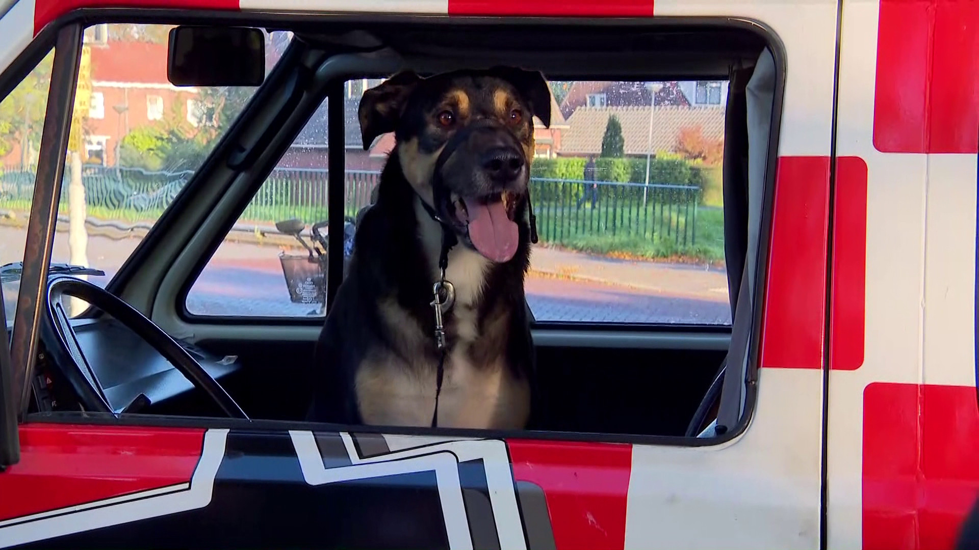 Brabants Buske  -  8 oktober 2022