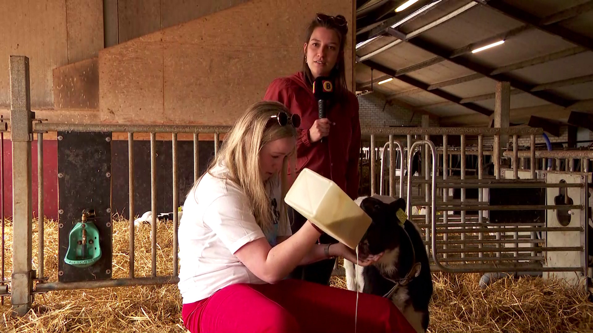 Brabants Buske  - 23 april 2022