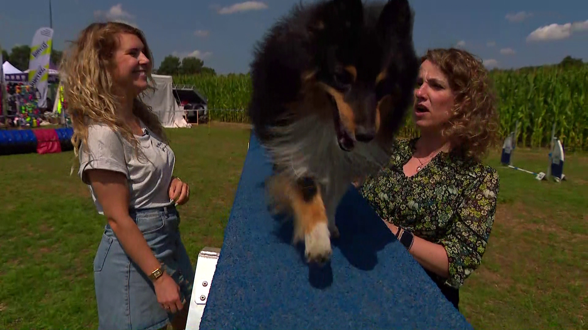 Brabants Buske  - 23 juli 2022