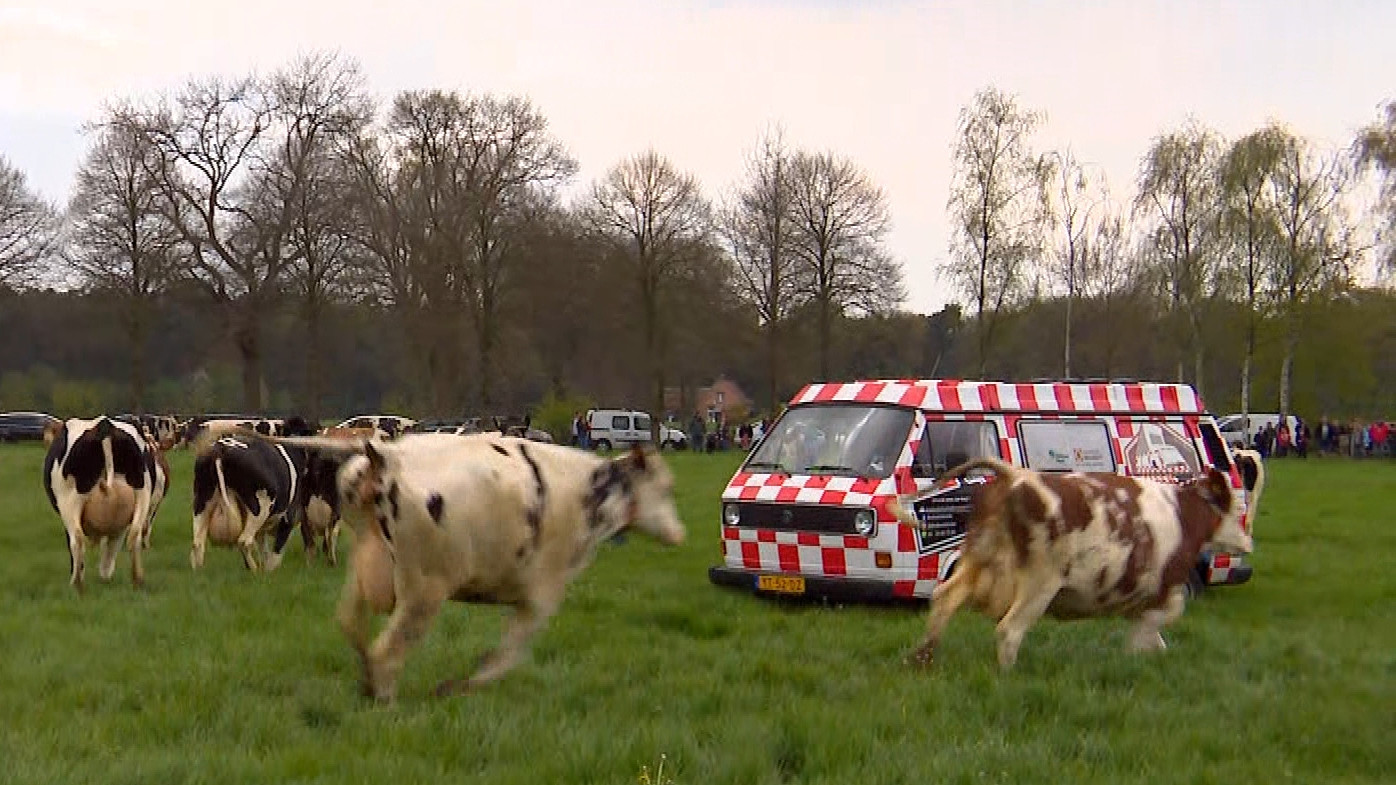 Brabants Buske - 29 april 2023