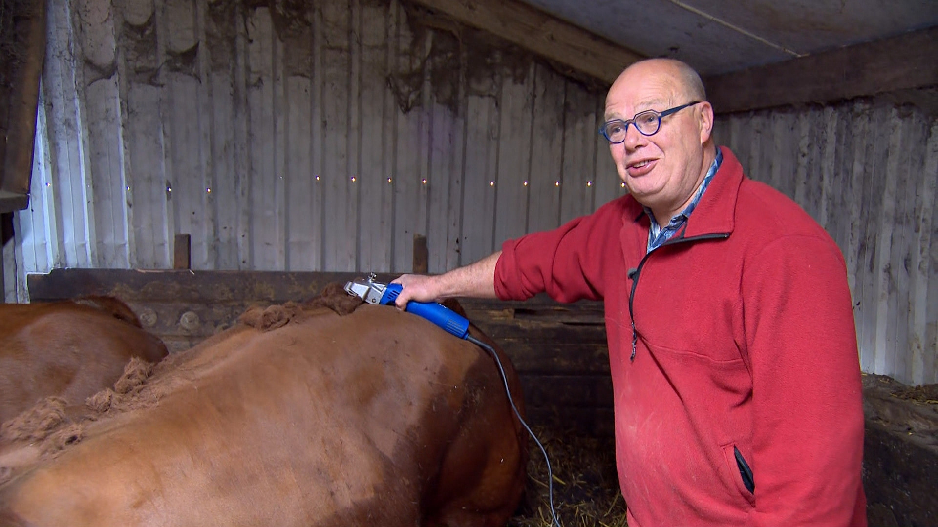 Brabants Buske - 5 april 2025