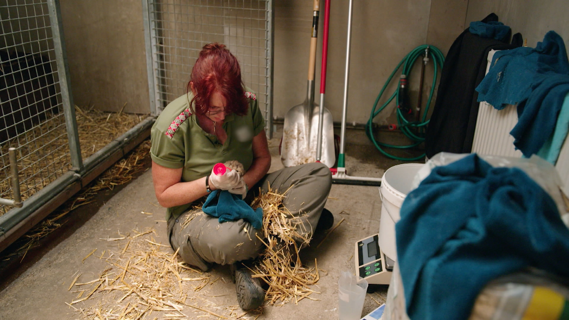 Op Safari - Aflevering 1