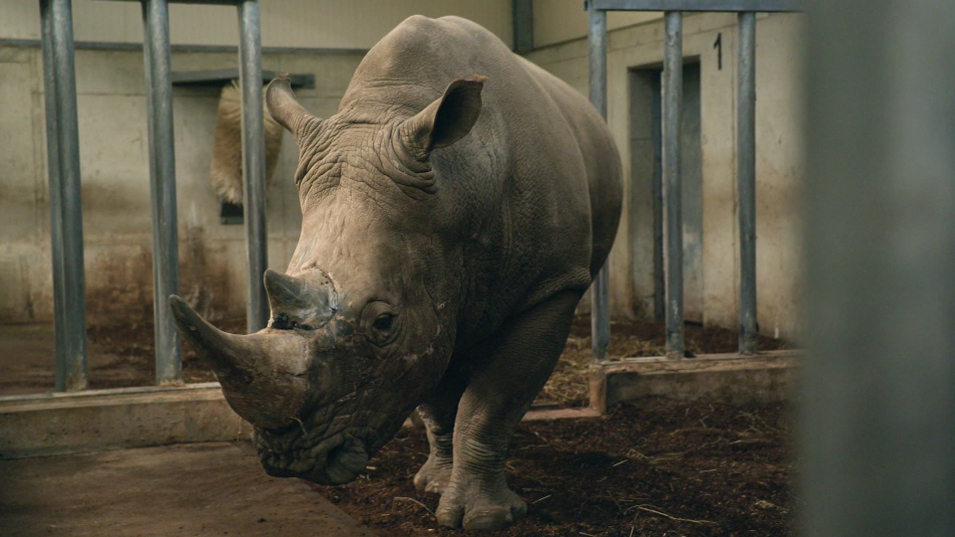 Op Safari - Aflevering 7