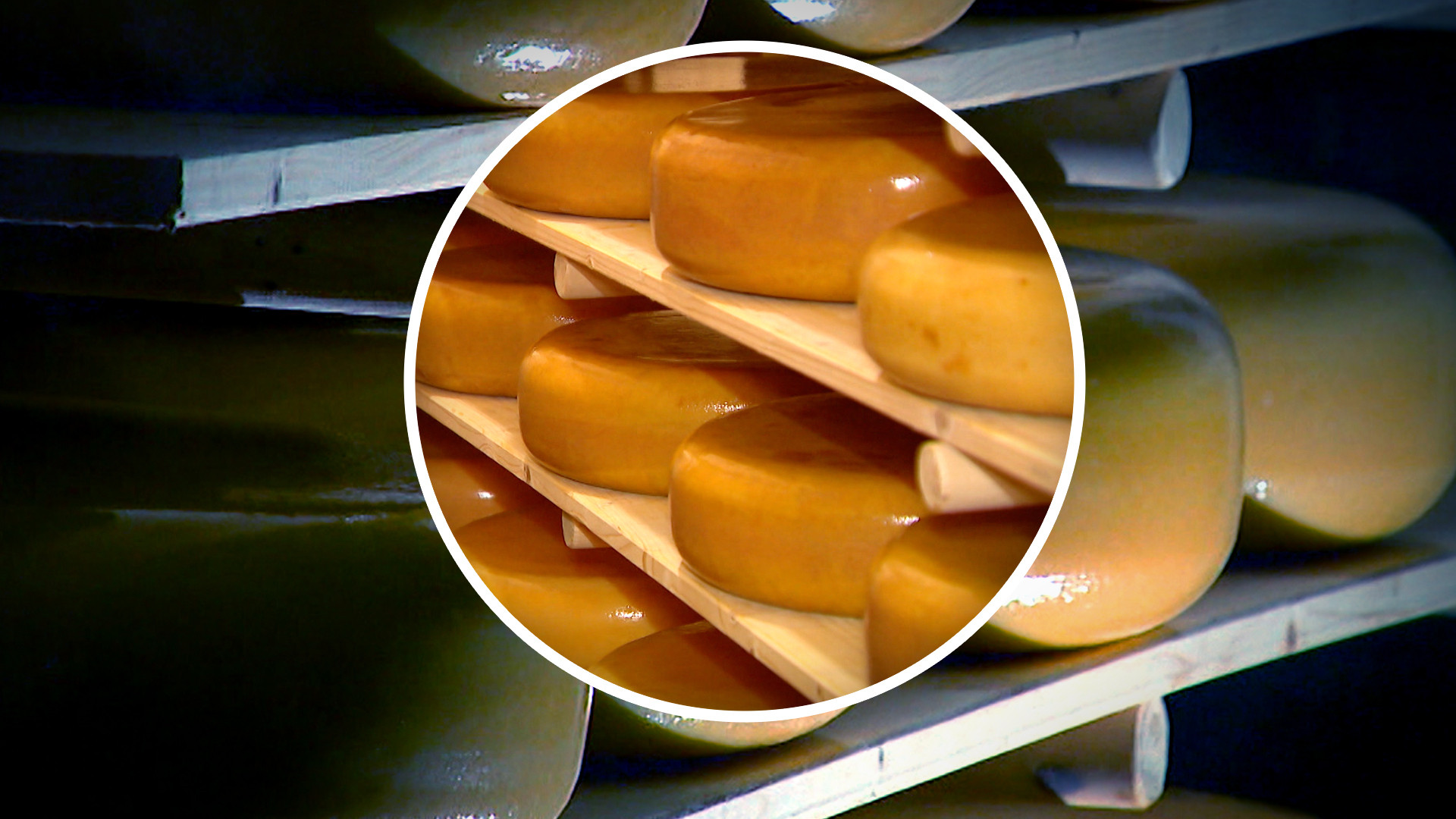 Misdaad Uitgelegd - De kaasmaffia