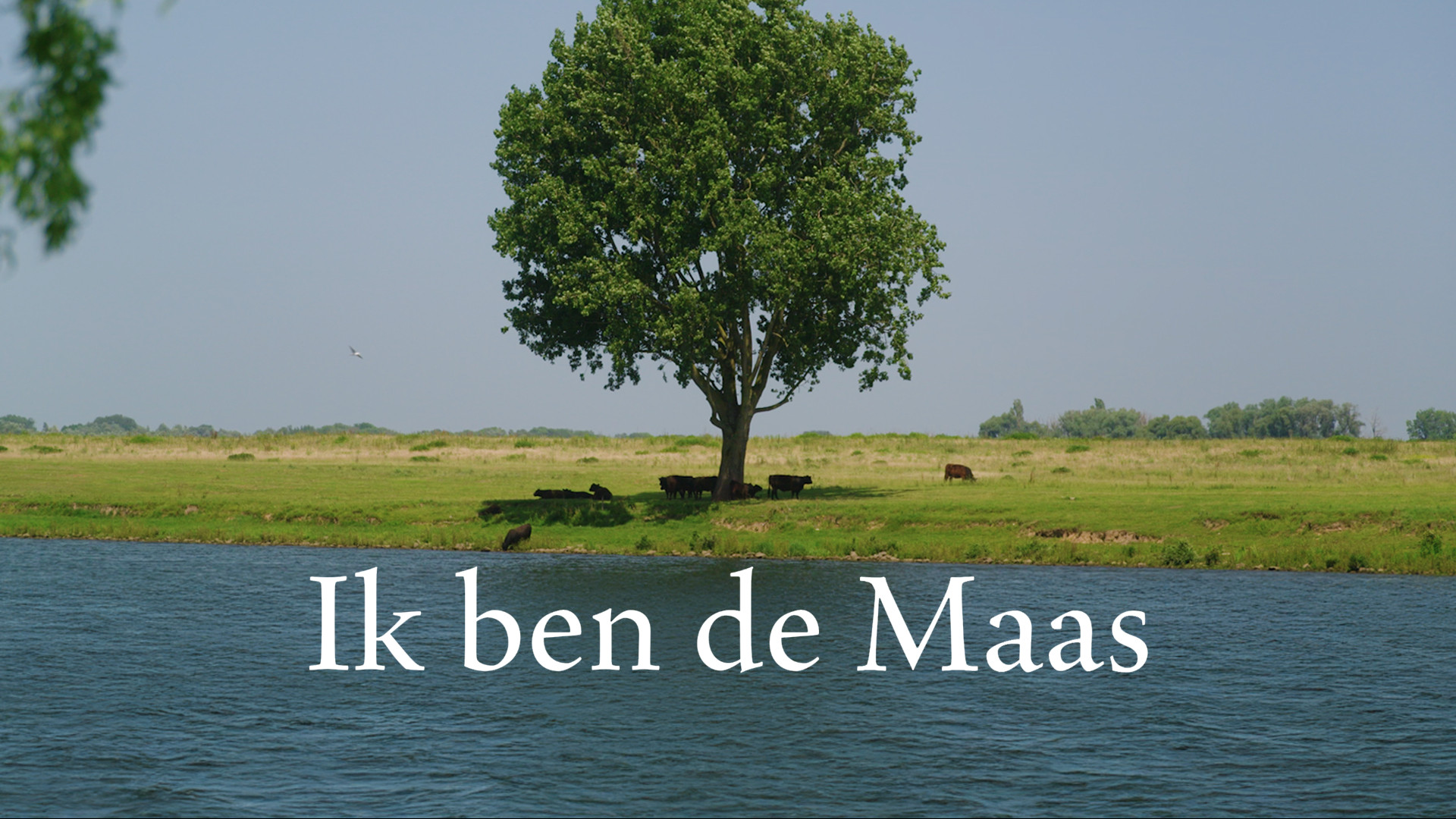 Ik ben de Maas