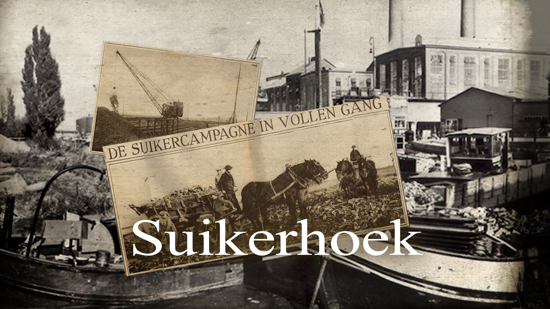 Suikerhoek