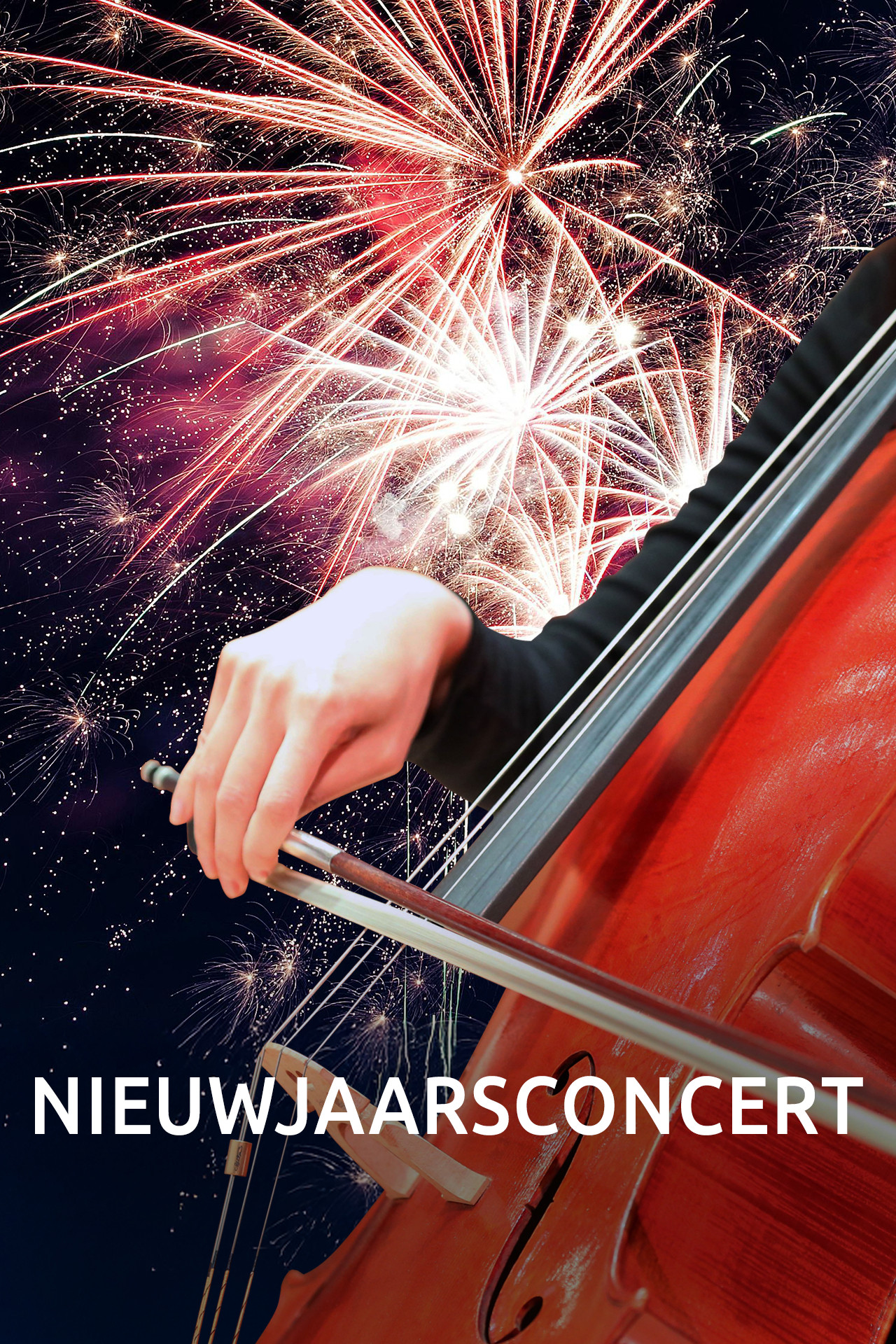 Nieuwjaarsconcert