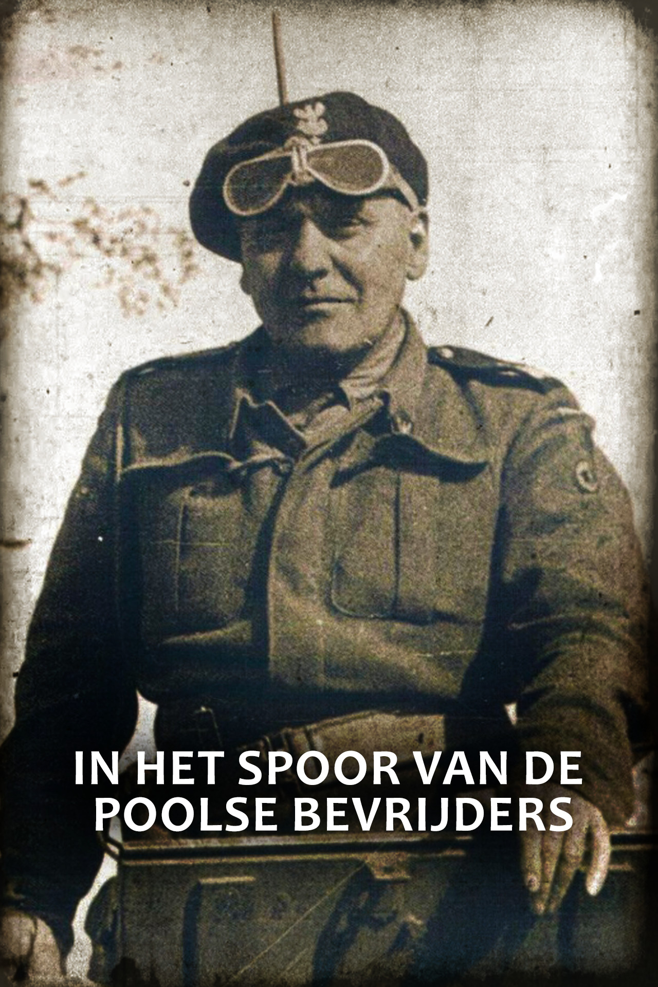 In het spoor van de Poolse bevrijders 