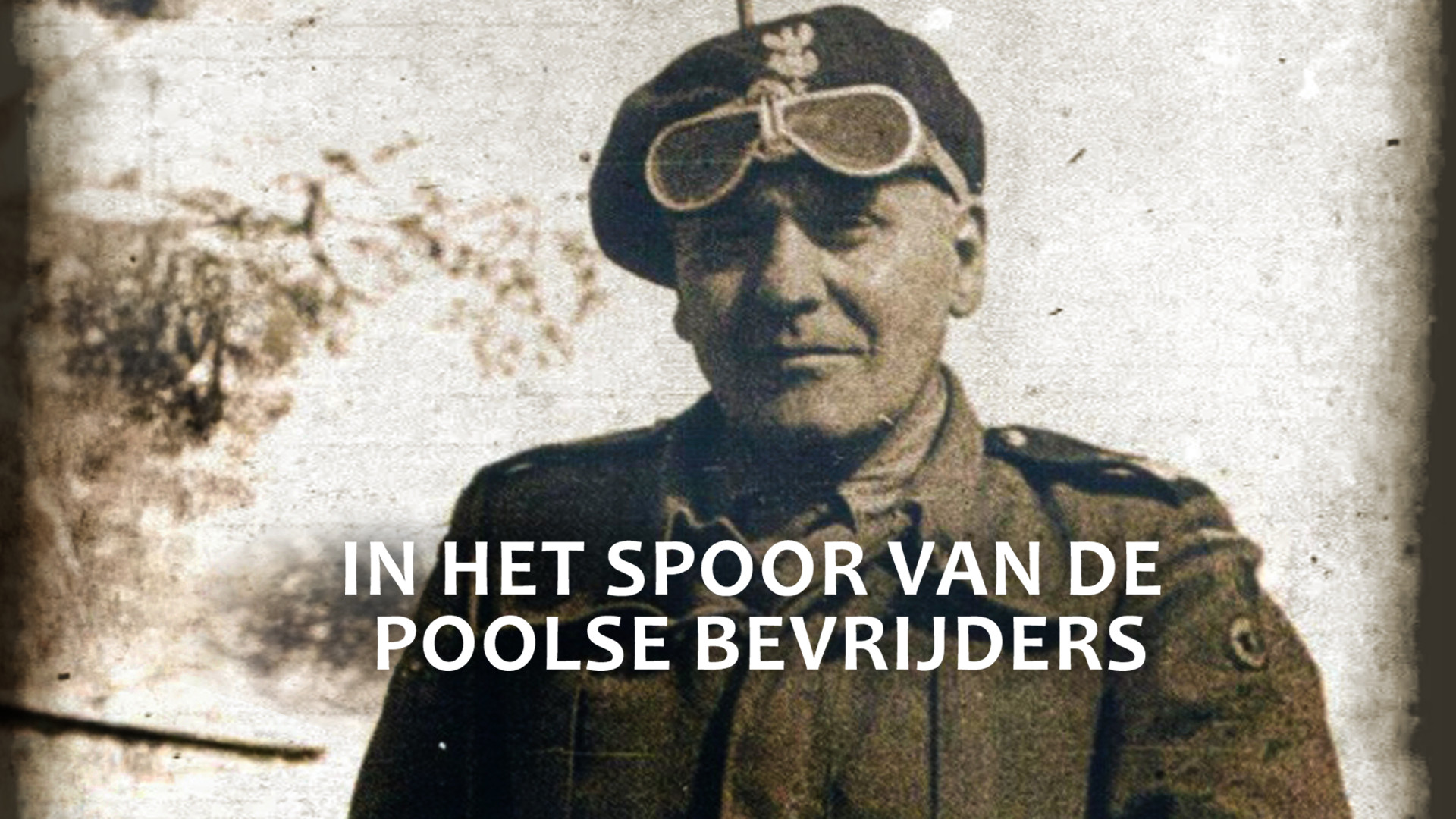 In het spoor van de Poolse bevrijders 