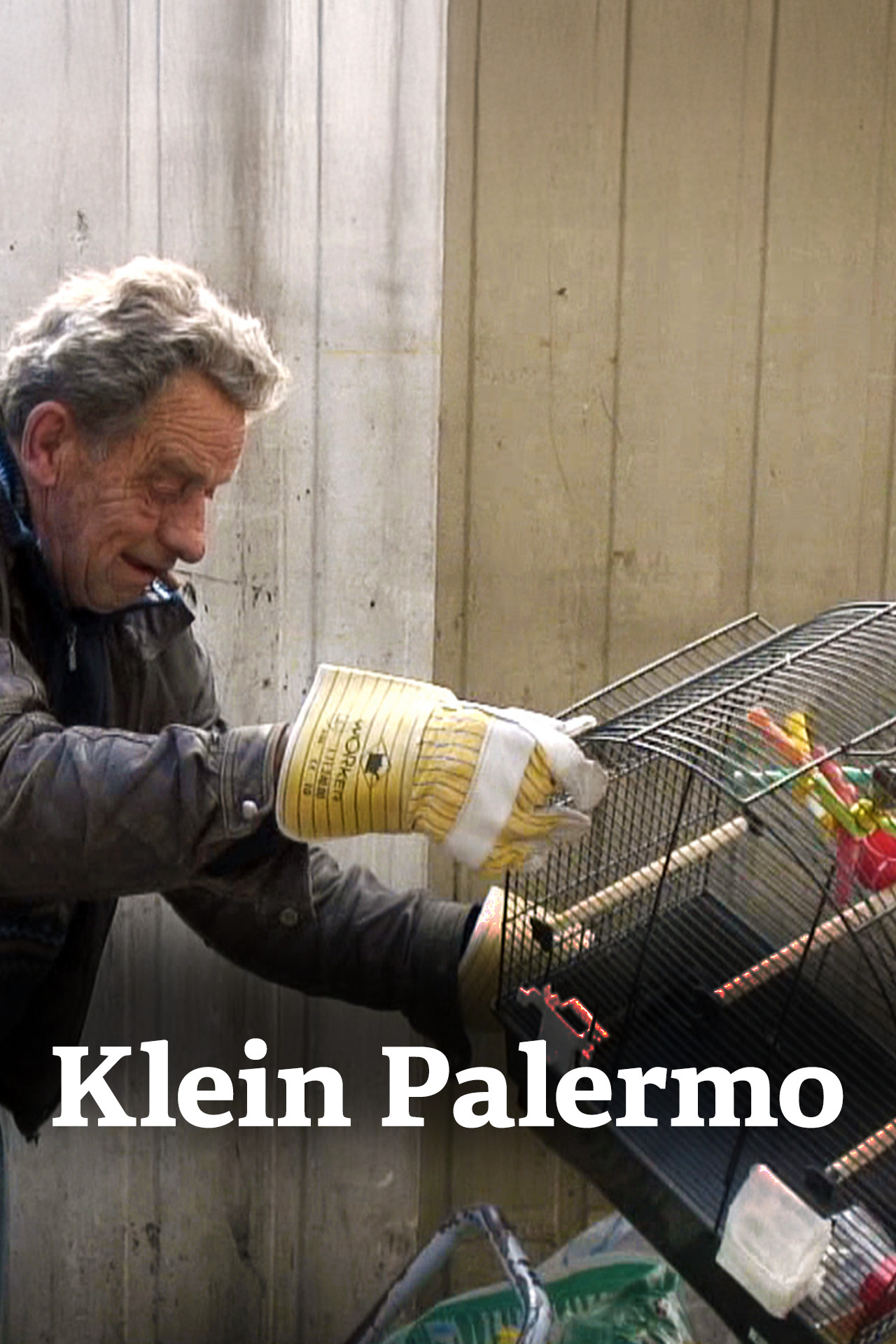 Klein Palermo