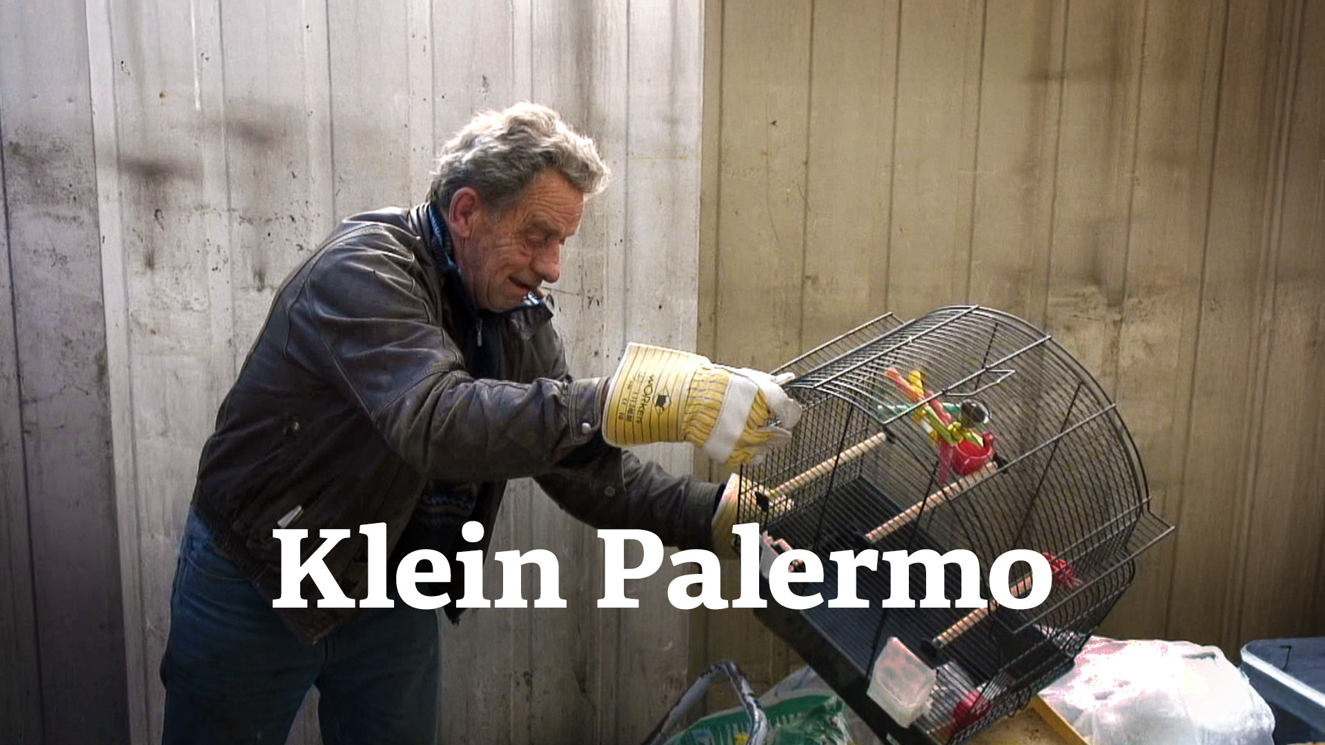 Klein Palermo