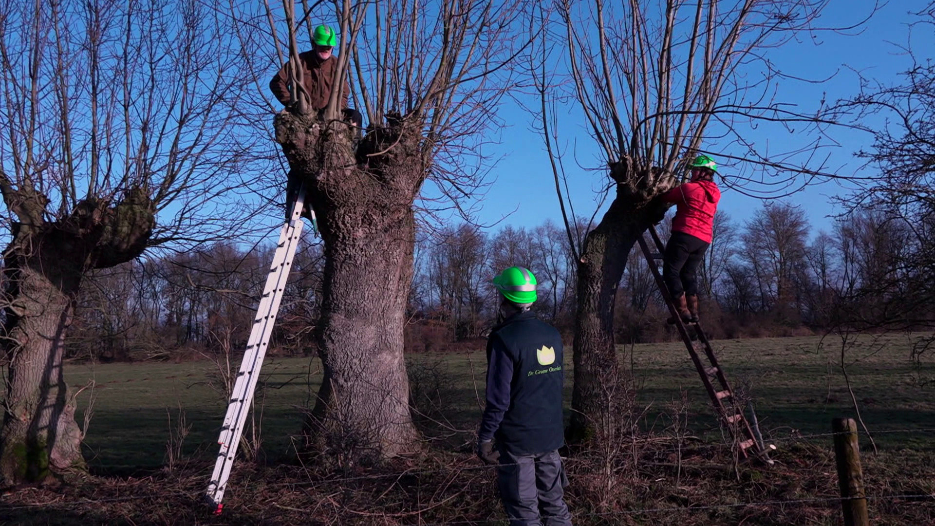 Zinderend Zuiden - 8 februari 2023