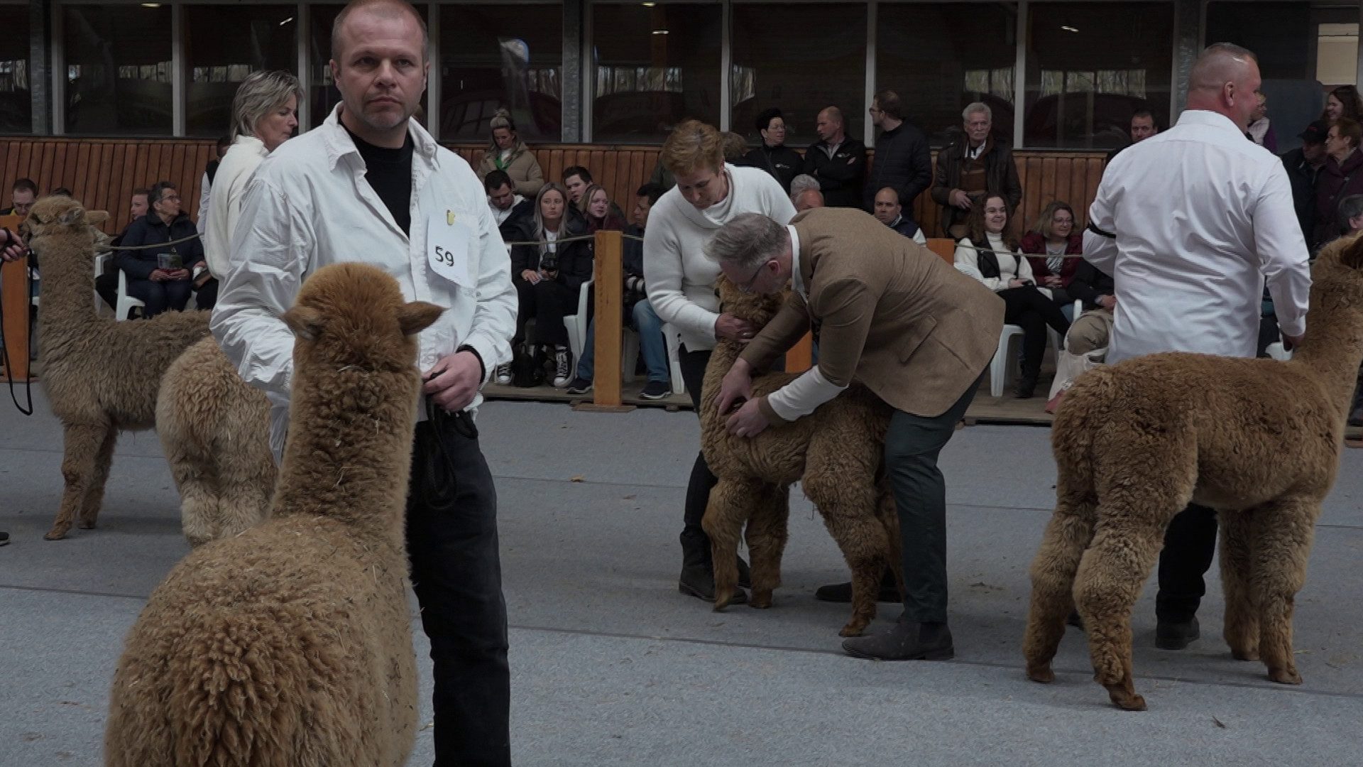 Zinderend Zuiden - 22 maart 2022