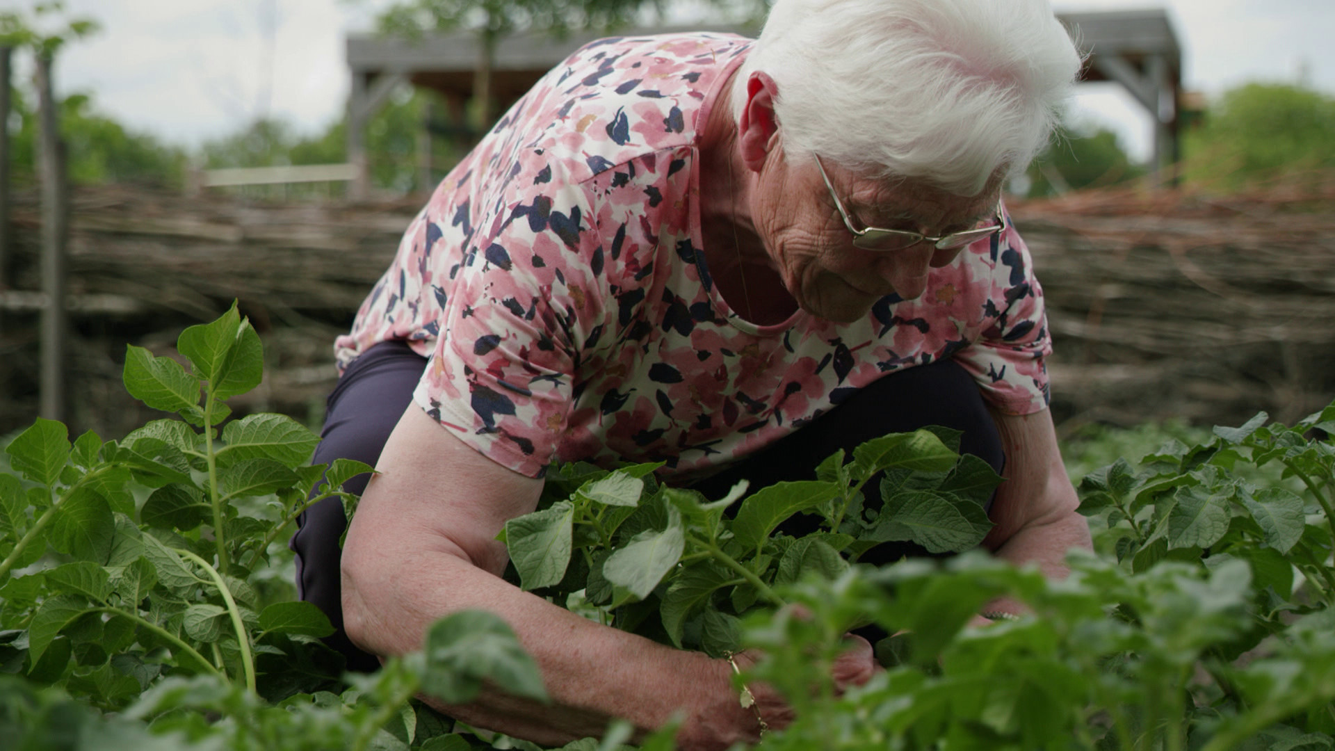 Eén stad. Vier gezichten. 