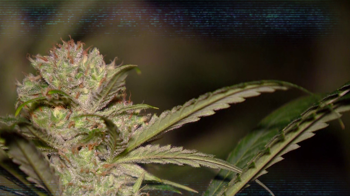 Brabant onder de Radar