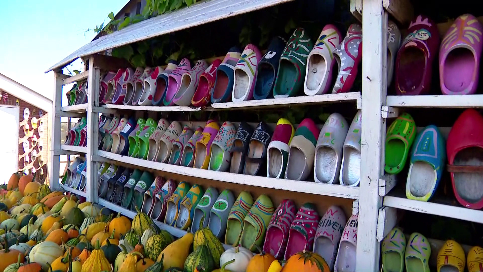 Brabants Buske  - 13 augustus 2022