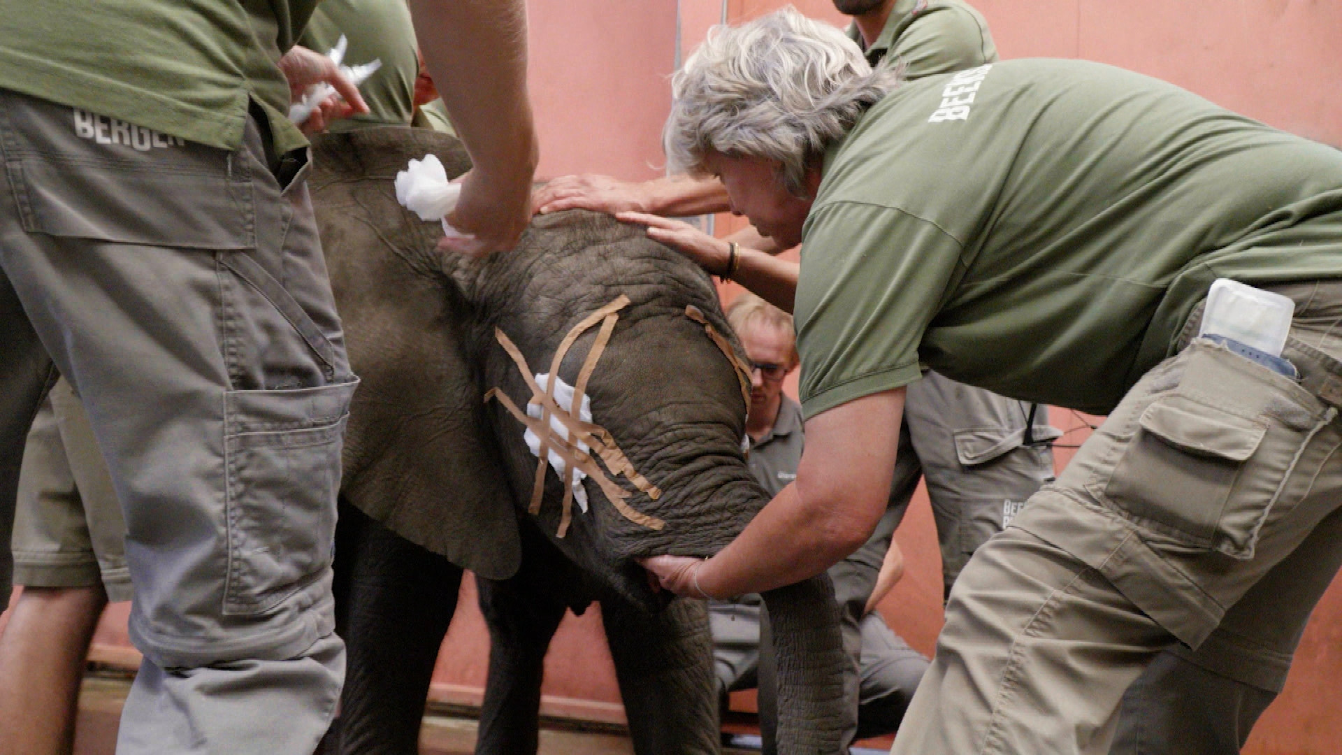 Op Safari - Aflevering 3