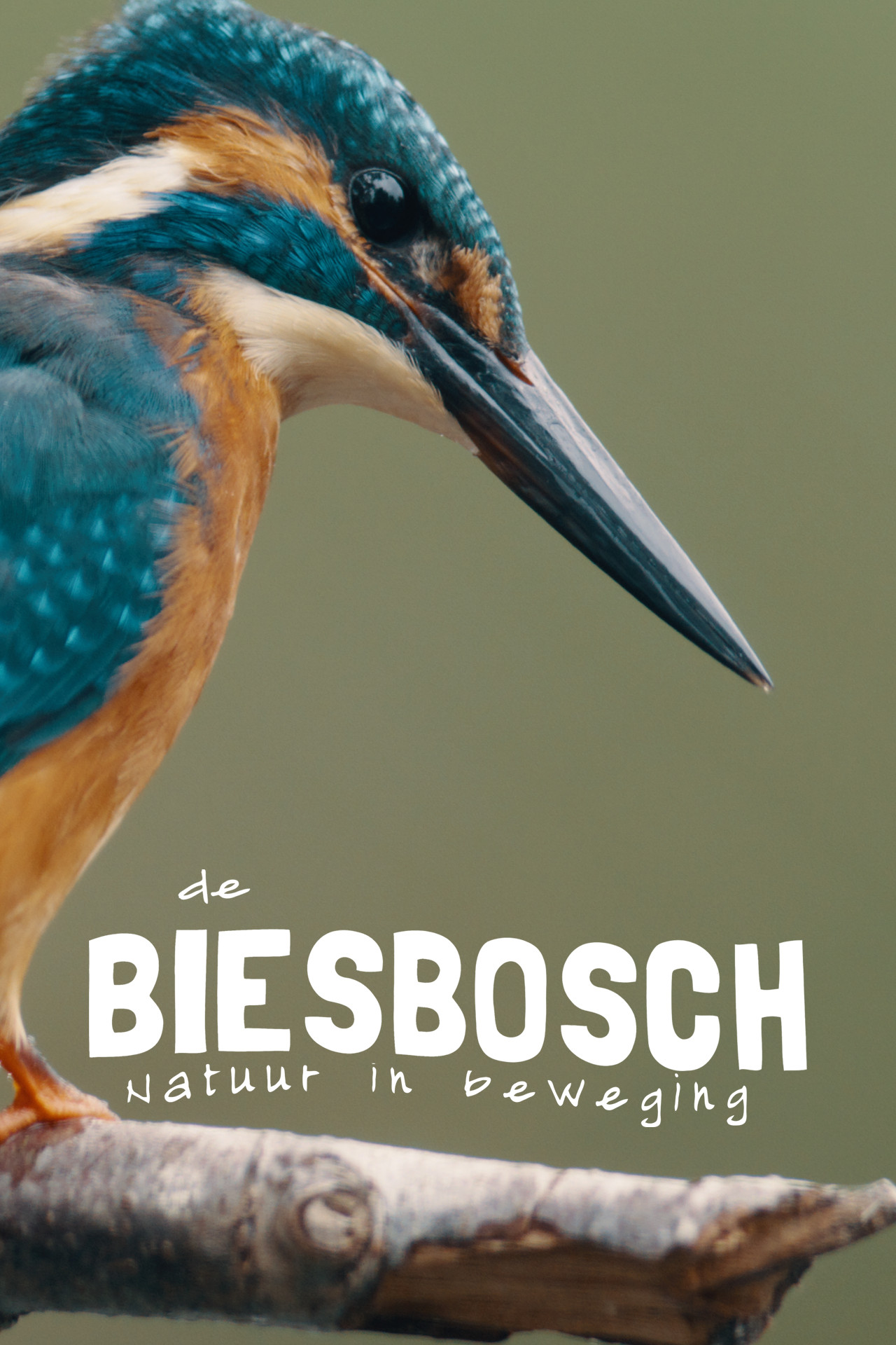 De Biesbosch
