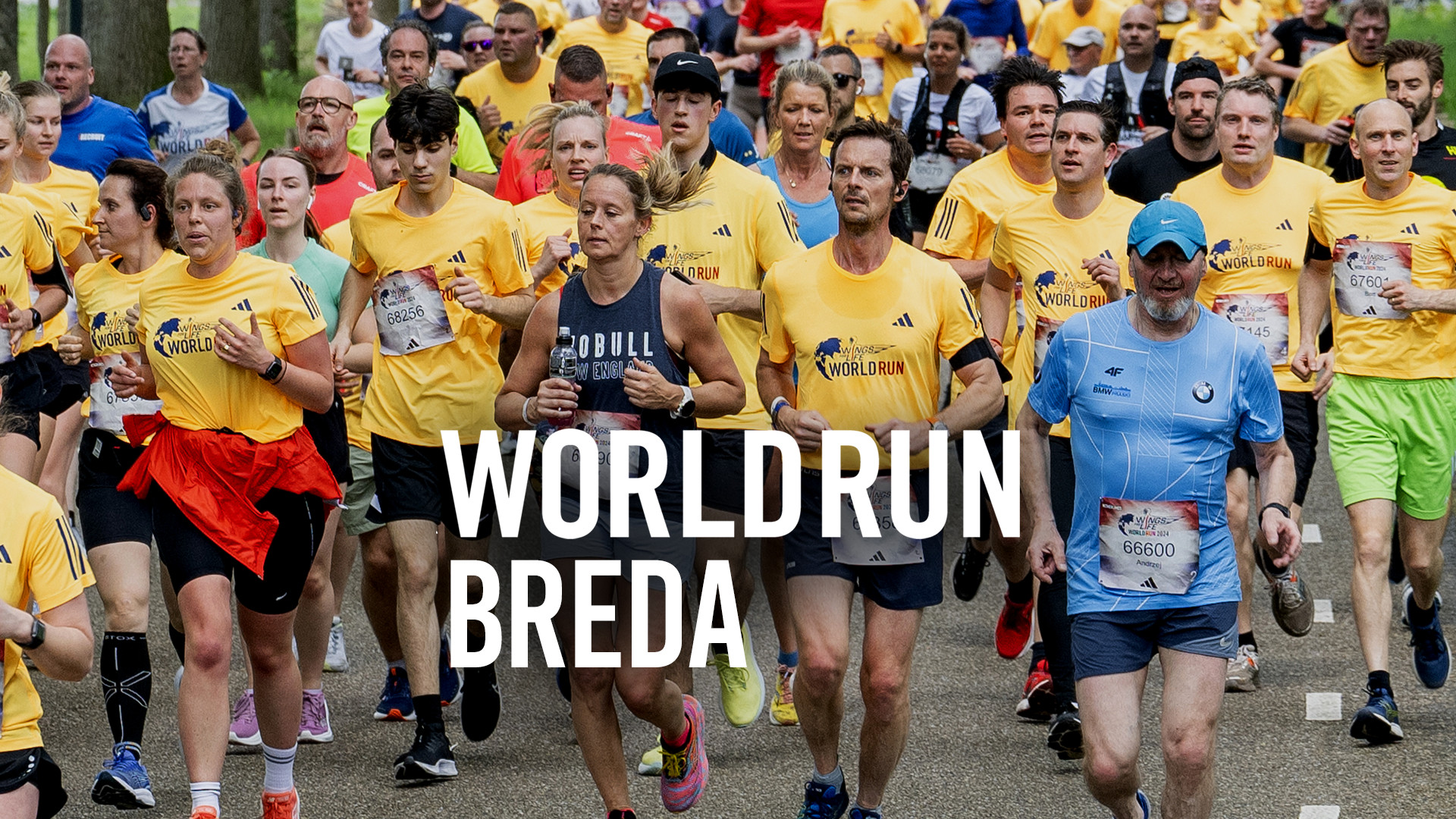 World Run Breda