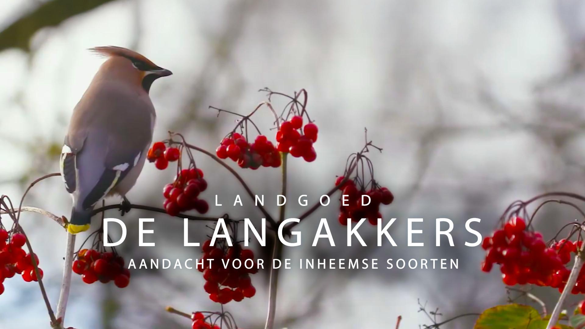 Landgoed de Langakkers