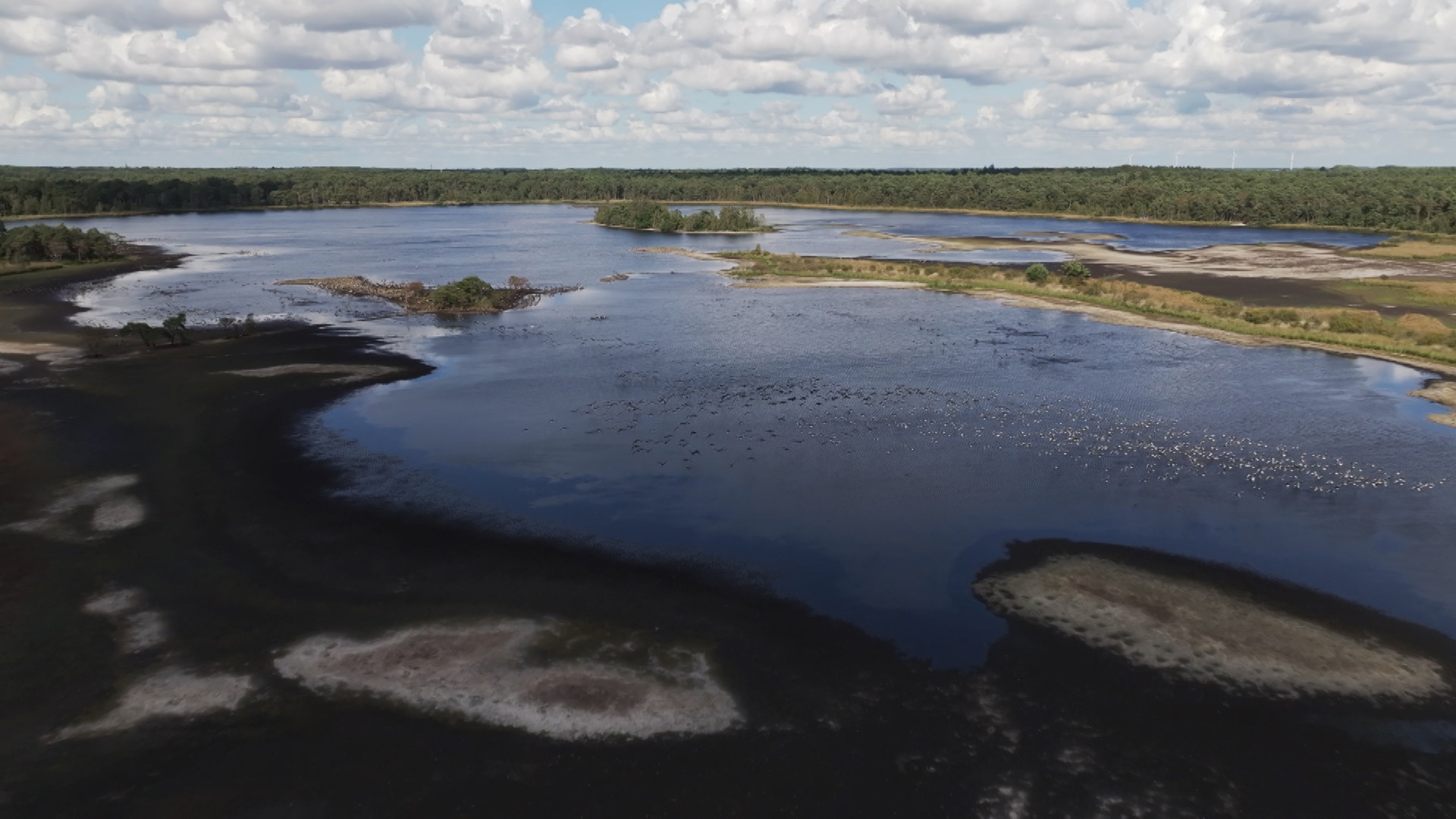 Boven Brabant - Aflevering 2