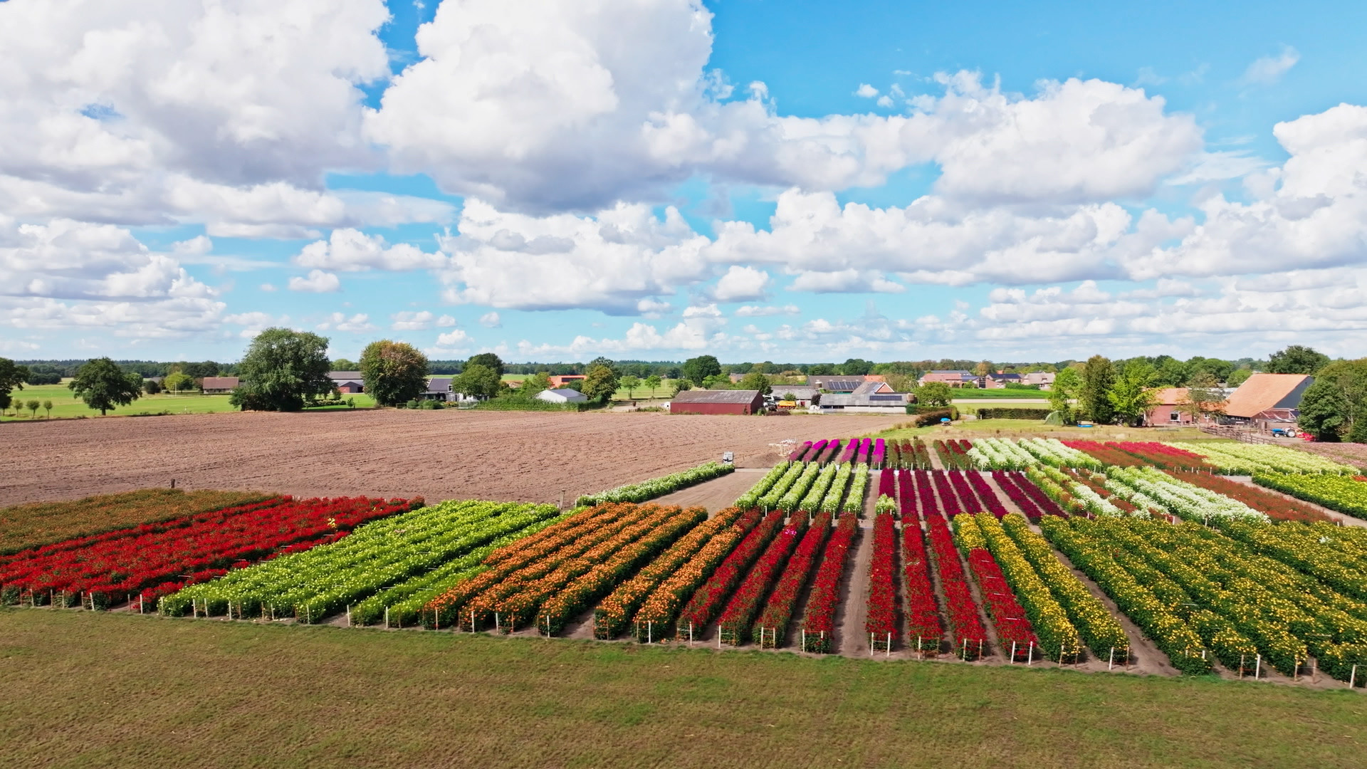 Boven Brabant - Aflevering 9