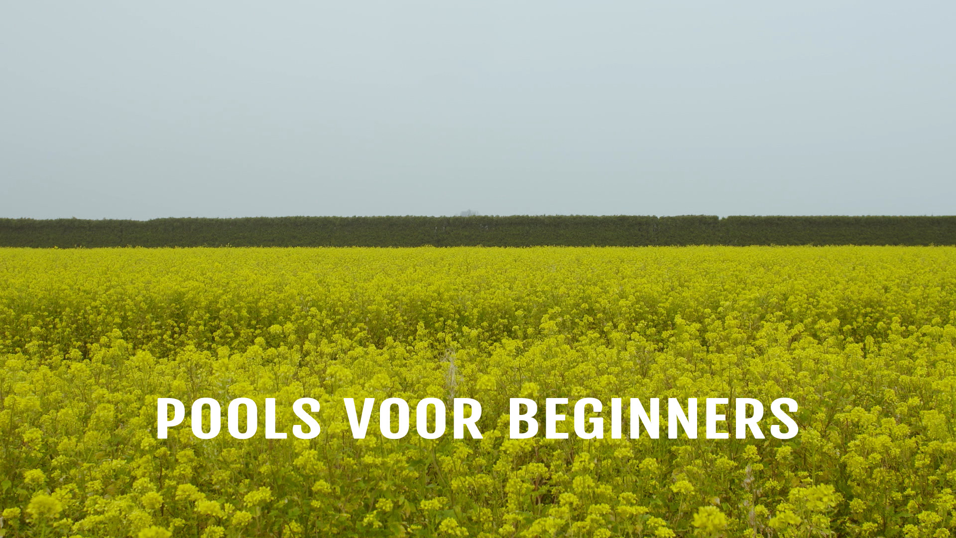 Pools voor Beginners 