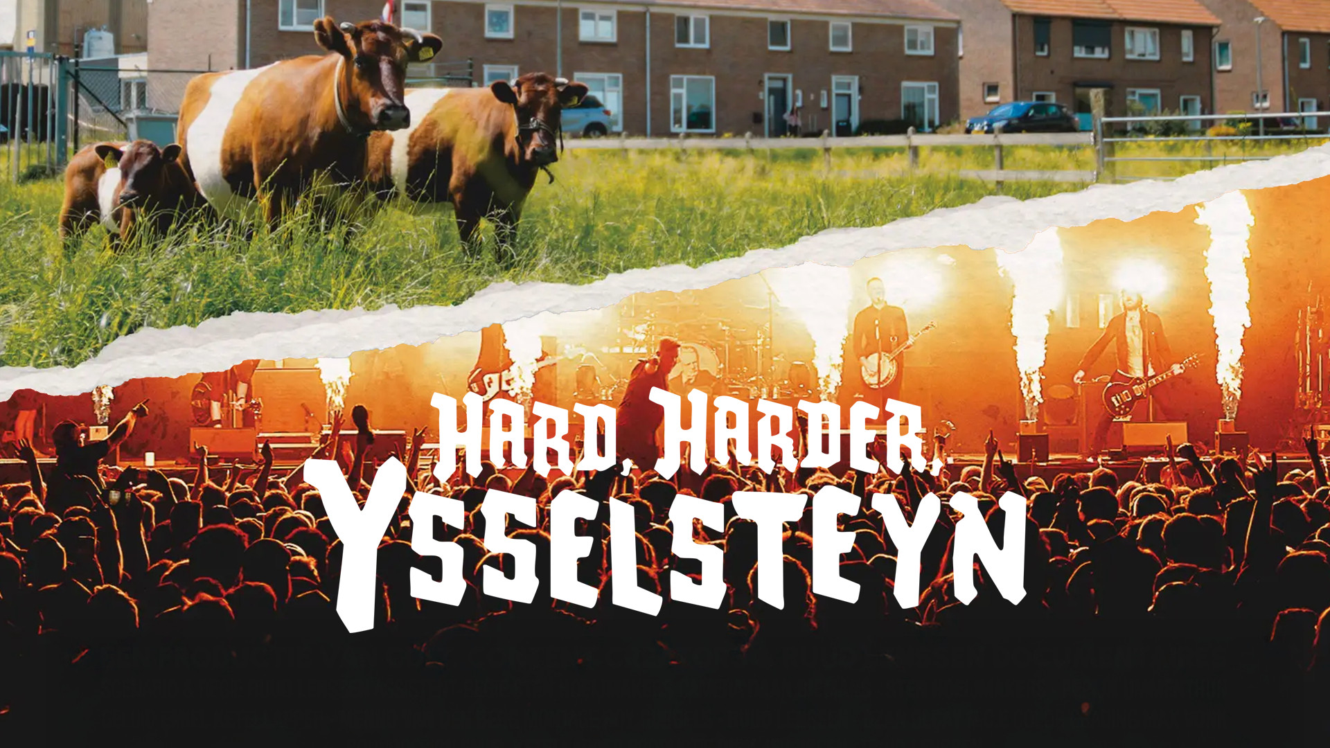 Hard, Harder, Ysselsteyn