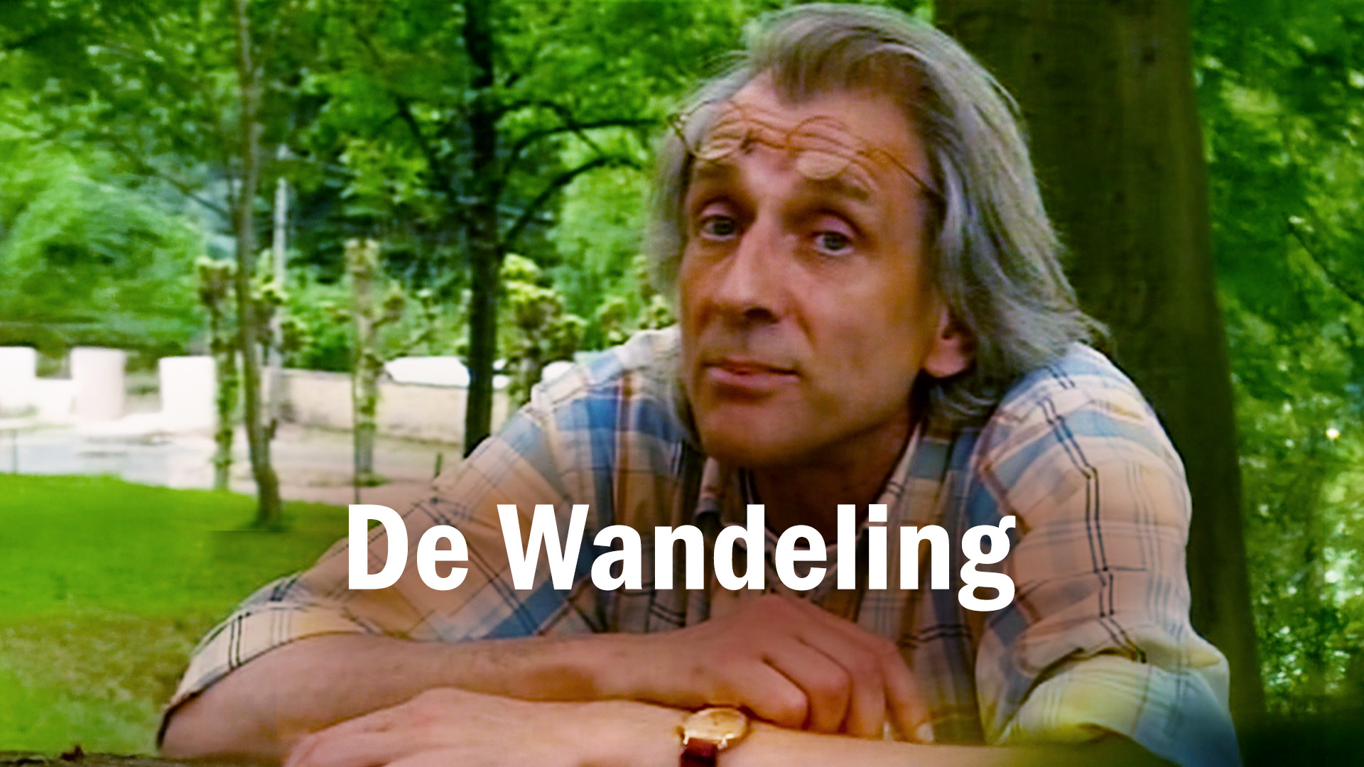 De Wandeling